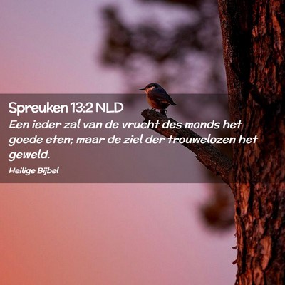 Picture 02 - Spreuken 13:2 NLD - Een ieder zal van de vrucht des monds het goede - Bible Verse Picture