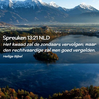 Picture 02 - Spreuken 13:21 NLD - Het kwaad zal de zondaars vervolgen; maar den - Bible Verse Picture