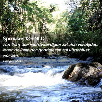 Picture 02 - Spreuken 13:9 NLD - Het licht der rechtvaardigen zal zich verblijden; - Bible Verse Picture