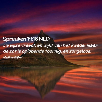 Picture 02 - Spreuken 14:16 NLD - De wijze vreest, en wijkt van het kwade; maar de - Bible Verse Picture