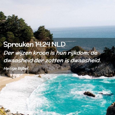 Picture 02 - Spreuken 14:24 NLD - Der wijzen kroon is hun rijkdom; de dwaasheid der - Bible Verse Picture