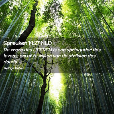 Picture 02 - Spreuken 14:27 NLD - De vreze des HEEREN is een springader des levens, - Bible Verse Picture