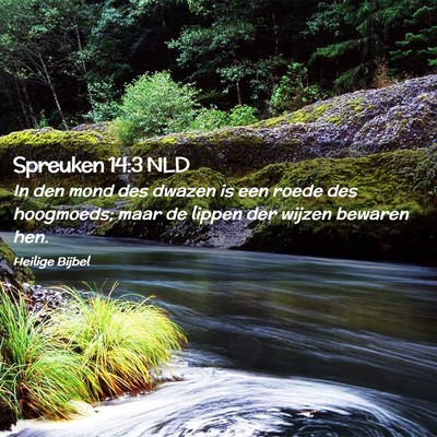 Picture 02 - Spreuken 14:3 NLD - In den mond des dwazen is een roede des - Bible Verse Picture