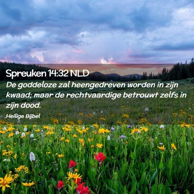 Picture 02 - Spreuken 14:32 NLD - De goddeloze zal heengedreven worden in zijn - Bible Verse Picture