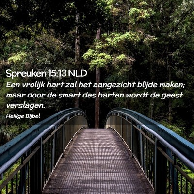 Picture 02 - Spreuken 15:13 NLD - Een vrolijk hart zal het aangezicht blijde maken; - Bible Verse Picture