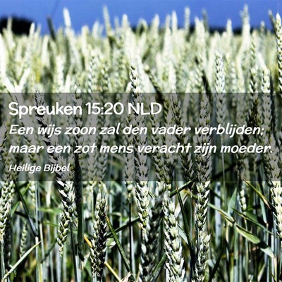 Picture 02 - Spreuken 15:20 NLD - Een wijs zoon zal den vader verblijden; maar een - Bible Verse Picture
