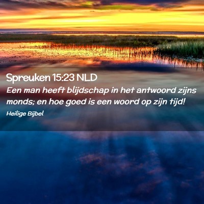 Picture 02 - Spreuken 15:23 NLD - Een man heeft blijdschap in het antwoord zijns - Bible Verse Picture