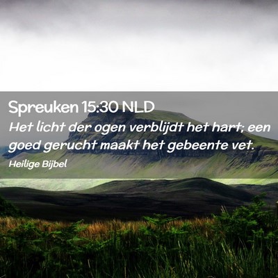 Picture 02 - Spreuken 15:30 NLD - Het licht der ogen verblijdt het hart; een goed - Bible Verse Picture