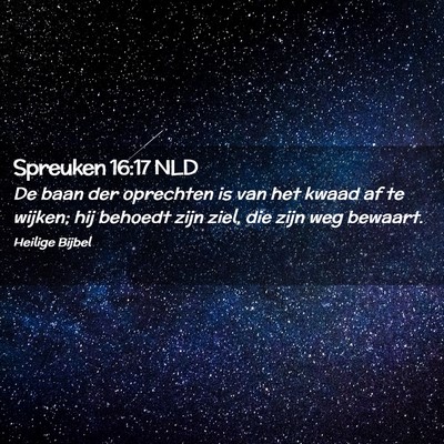 Picture 02 - Spreuken 16:17 NLD - De baan der oprechten is van het kwaad af te - Bible Verse Picture