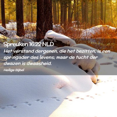 Picture 02 - Spreuken 16:22 NLD - Het verstand dergenen, die het bezitten, is een - Bible Verse Picture