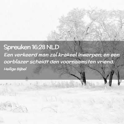 Picture 02 - Spreuken 16:28 NLD - Een verkeerd man zal krakeel inwerpen; en een - Bible Verse Picture