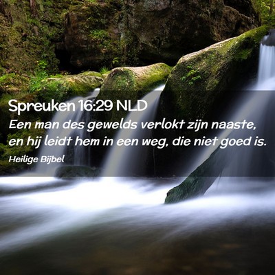 Picture 02 - Spreuken 16:29 NLD - Een man des gewelds verlokt zijn naaste, en hij - Bible Verse Picture