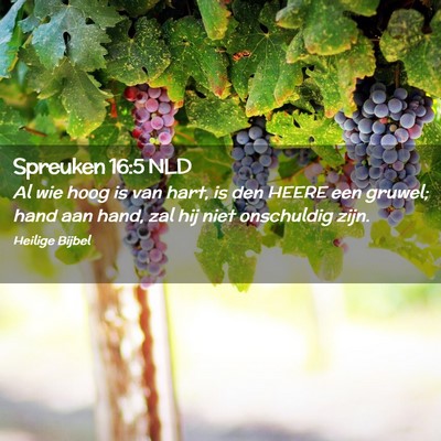 Picture 02 - Spreuken 16:5 NLD - Al wie hoog is van hart, is den HEERE een gruwel; - Bible Verse Picture