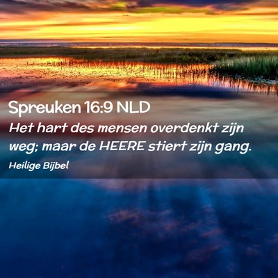 Picture 02 - Spreuken 16:9 NLD - Het hart des mensen overdenkt zijn weg; maar de - Bible Verse Picture