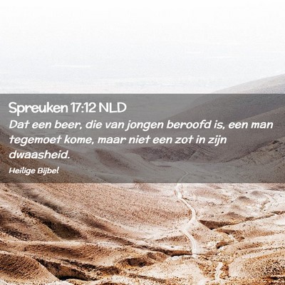 Picture 02 - Spreuken 17:12 NLD - Dat een beer, die van jongen beroofd is, een man - Bible Verse Picture
