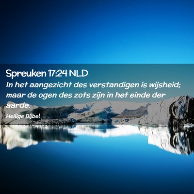 Picture 02 - Spreuken 17:24 NLD - In het aangezicht des verstandigen is wijsheid; - Bible Verse Picture