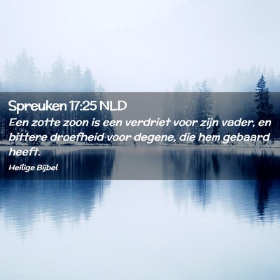 Picture 02 - Spreuken 17:25 NLD - Een zotte zoon is een verdriet voor zijn vader, - Bible Verse Picture