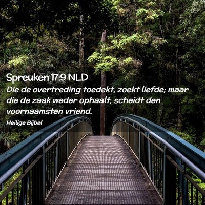 Picture 02 - Spreuken 17:9 NLD - Die de overtreding toedekt, zoekt liefde; maar - Bible Verse Picture