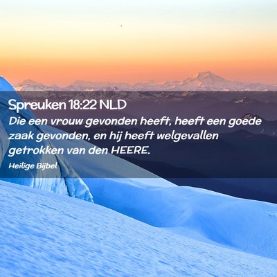 Picture 02 - Spreuken 18:22 NLD - Die een vrouw gevonden heeft, heeft een goede - Bible Verse Picture