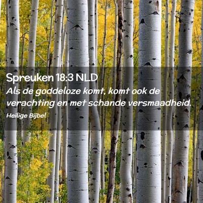 Picture 02 - Spreuken 18:3 NLD - Als de goddeloze komt, komt ook de verachting en - Bible Verse Picture