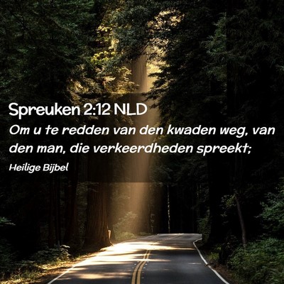 Picture 02 - Spreuken 2:12 NLD - Om u te redden van den kwaden weg, van den man, - Bible Verse Picture