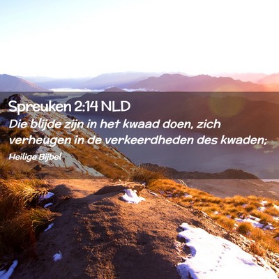 Picture 02 - Spreuken 2:14 NLD - Die blijde zijn in het kwaad doen, zich verheugen - Bible Verse Picture