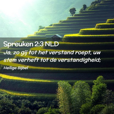 Picture 02 - Spreuken 2:3 NLD - Ja, zo gij tot het verstand roept, uw stem - Bible Verse Picture