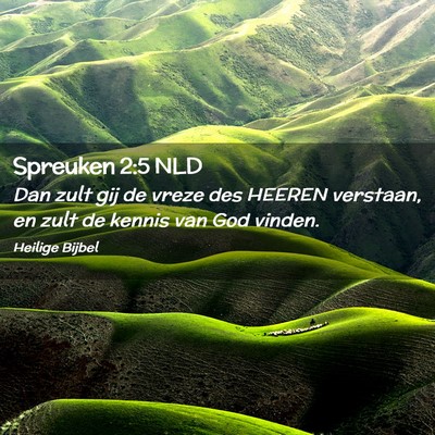 Picture 02 - Spreuken 2:5 NLD - Dan zult gij de vreze des HEEREN verstaan, en - Bible Verse Picture
