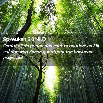 Picture 02 - Spreuken 2:8 NLD - Opdat zij de paden des rechts houden; en Hij zal - Bible Verse Picture