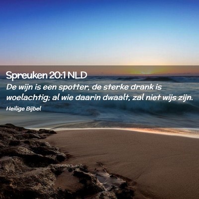 Picture 02 - Spreuken 20:1 NLD - De wijn is een spotter, de sterke drank is - Bible Verse Picture