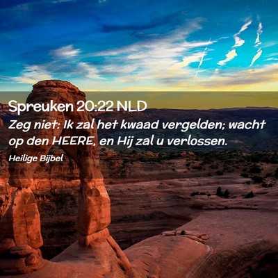 Picture 02 - Spreuken 20:22 NLD - Zeg niet: Ik zal het kwaad vergelden; wacht op - Bible Verse Picture