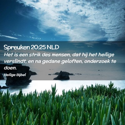 Picture 02 - Spreuken 20:25 NLD - Het is een strik des mensen, dat hij het heilige - Bible Verse Picture