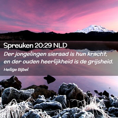 Picture 02 - Spreuken 20:29 NLD - Der jongelingen sieraad is hun kracht, en der - Bible Verse Picture