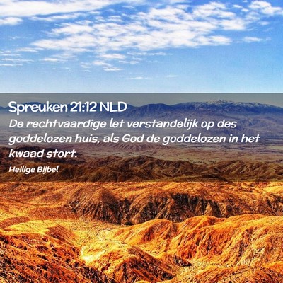 Picture 02 - Spreuken 21:12 NLD - De rechtvaardige let verstandelijk op des - Bible Verse Picture