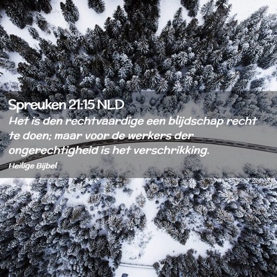 Picture 02 - Spreuken 21:15 NLD - Het is den rechtvaardige een blijdschap recht te - Bible Verse Picture
