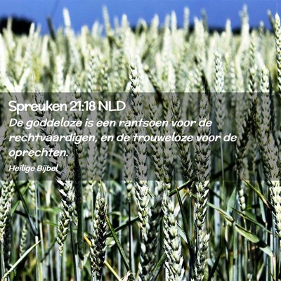 Picture 02 - Spreuken 21:18 NLD - De goddeloze is een rantsoen voor de - Bible Verse Picture