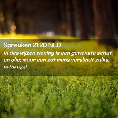 Picture 02 - Spreuken 21:20 NLD - In des wijzen woning is een gewenste schat, en - Bible Verse Picture