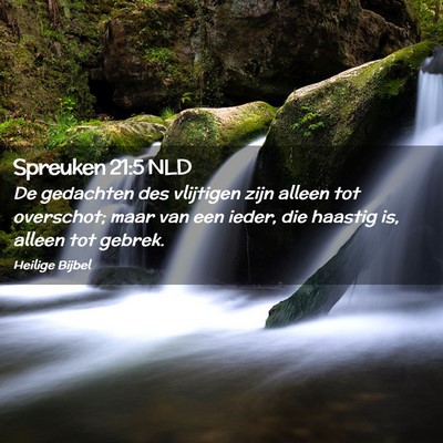 Picture 02 - Spreuken 21:5 NLD - De gedachten des vlijtigen zijn alleen tot - Bible Verse Picture