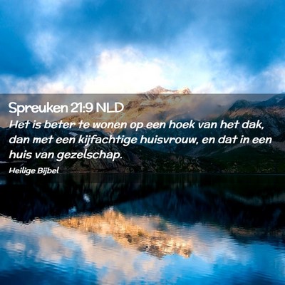 Picture 02 - Spreuken 21:9 NLD - Het is beter te wonen op een hoek van het dak, - Bible Verse Picture