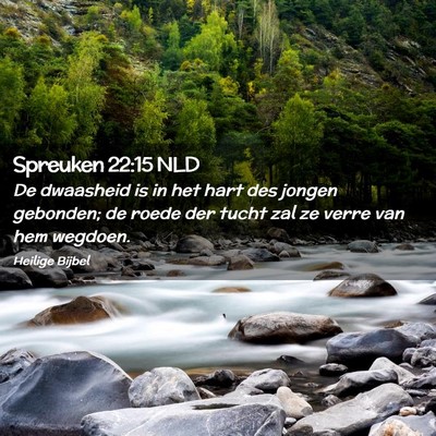 Picture 02 - Spreuken 22:15 NLD - De dwaasheid is in het hart des jongen gebonden; - Bible Verse Picture