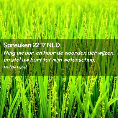 Picture 02 - Spreuken 22:17 NLD - Neig uw oor, en hoor de woorden der wijzen, en - Bible Verse Picture