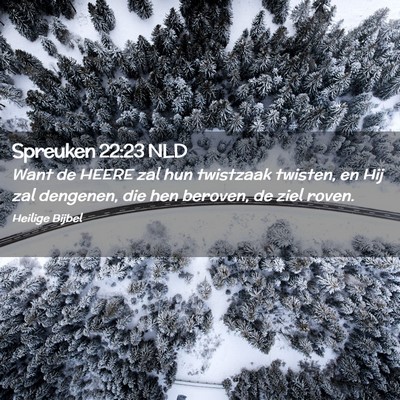 Picture 02 - Spreuken 22:23 NLD - Want de HEERE zal hun twistzaak twisten, en Hij - Bible Verse Picture