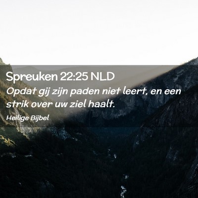 Picture 02 - Spreuken 22:25 NLD - Opdat gij zijn paden niet leert, en een strik - Bible Verse Picture