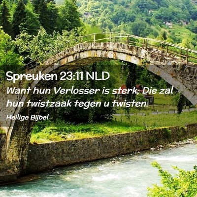 Picture 02 - Spreuken 23:11 NLD - Want hun Verlosser is sterk; Die zal hun - Bible Verse Picture