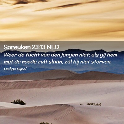 Picture 02 - Spreuken 23:13 NLD - Weer de tucht van den jongen niet; als gij hem - Bible Verse Picture