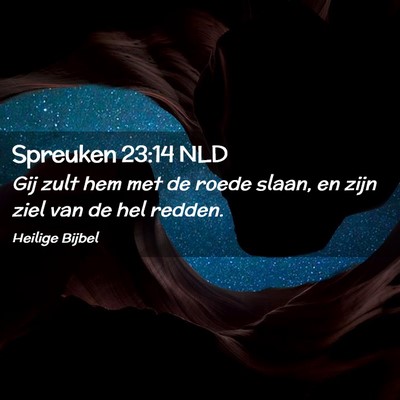 Picture 02 - Spreuken 23:14 NLD - Gij zult hem met de roede slaan, en zijn ziel van - Bible Verse Picture