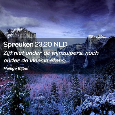 Picture 02 - Spreuken 23:20 NLD - Zijt niet onder de wijnzuipers, noch onder de - Bible Verse Picture