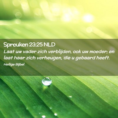 Picture 02 - Spreuken 23:25 NLD - Laat uw vader zich verblijden, ook uw moeder; en - Bible Verse Picture