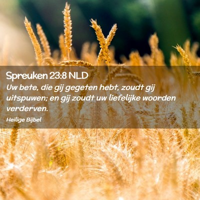 Picture 02 - Spreuken 23:8 NLD - Uw bete, die gij gegeten hebt, zoudt gij - Bible Verse Picture