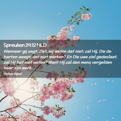 Picture 02 - Spreuken 24:12 NLD - Wanneer gij zegt: Ziet, wij weten dat niet; zal - Bible Verse Picture